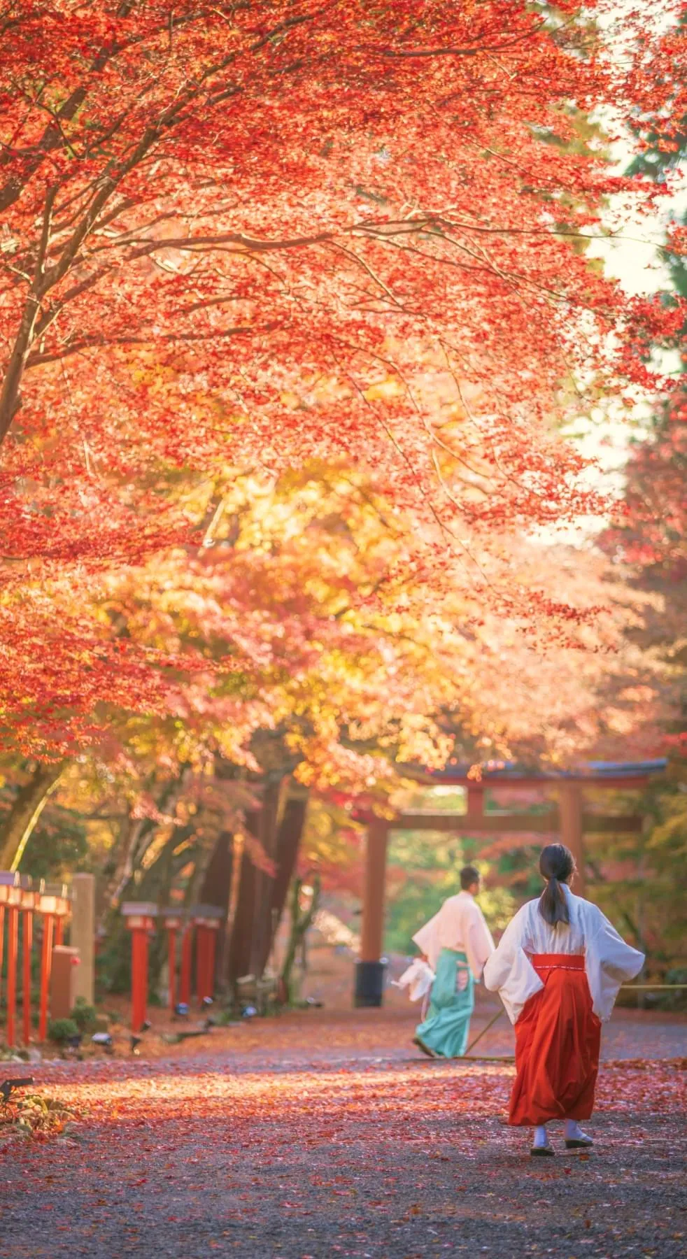 Autumn in Shiga