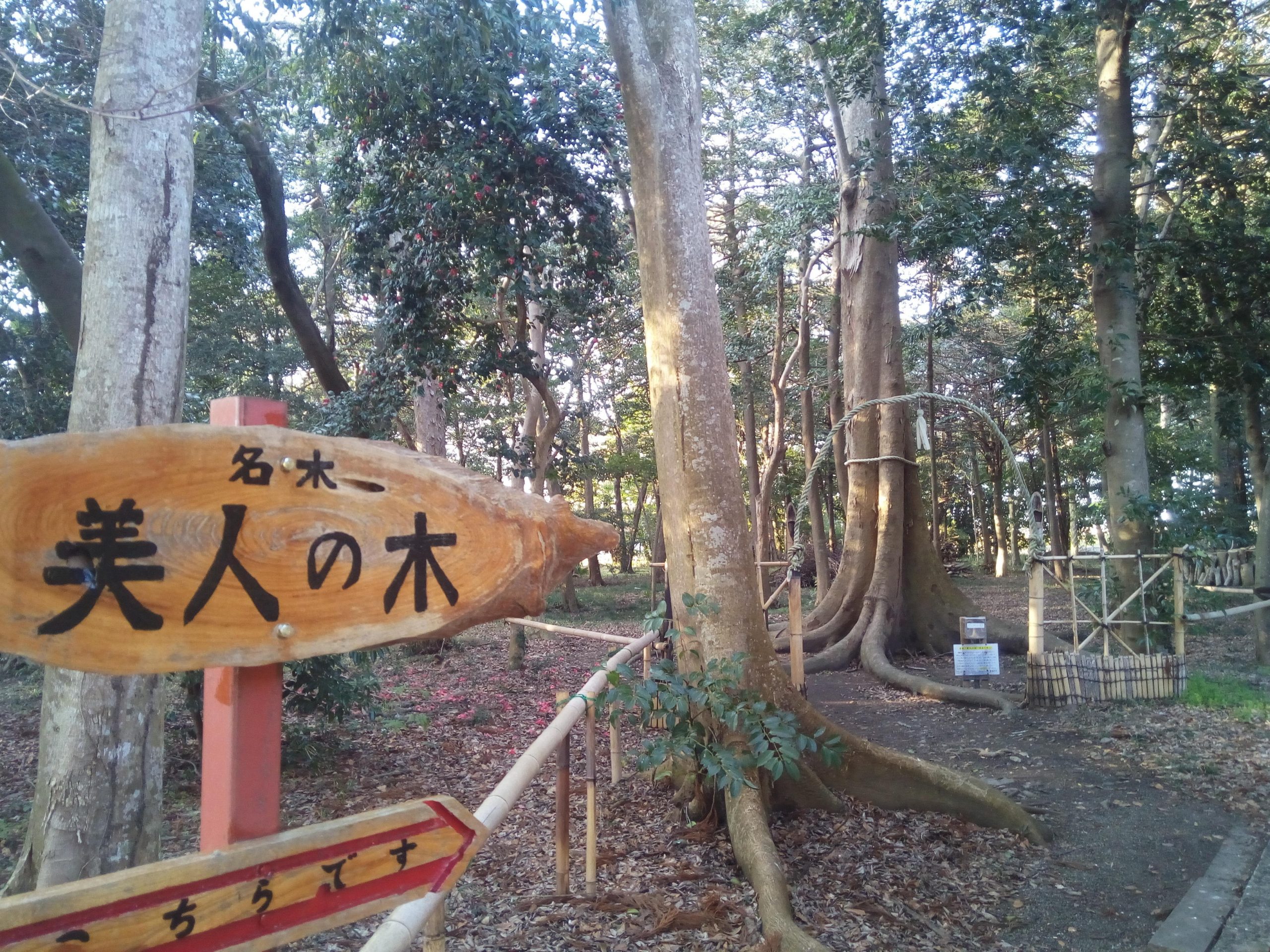 How to Be Beautiful in Shiga