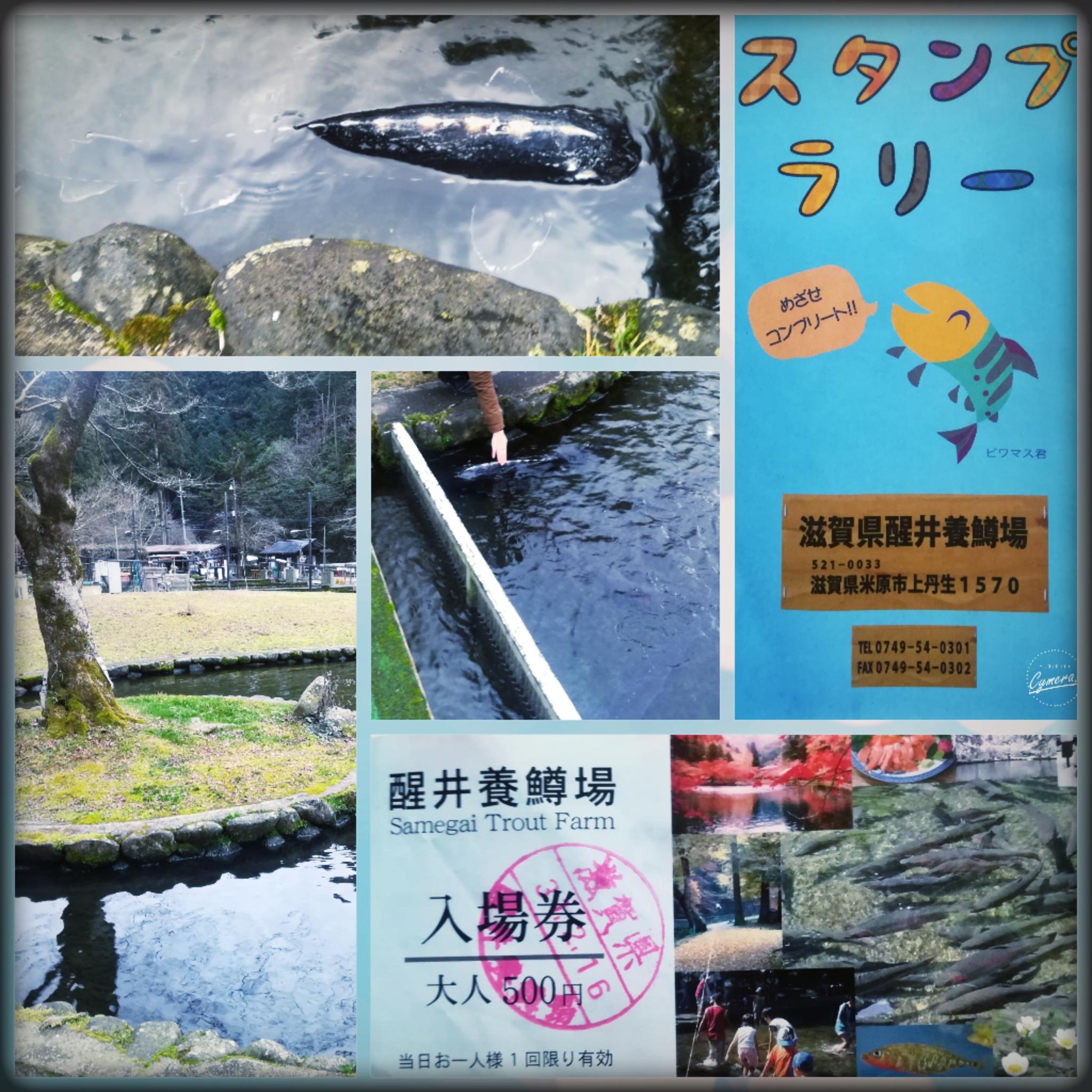 Two Gems of Shiga: Rosa & Berry Tawada English Garden and Samegai Trout Farm