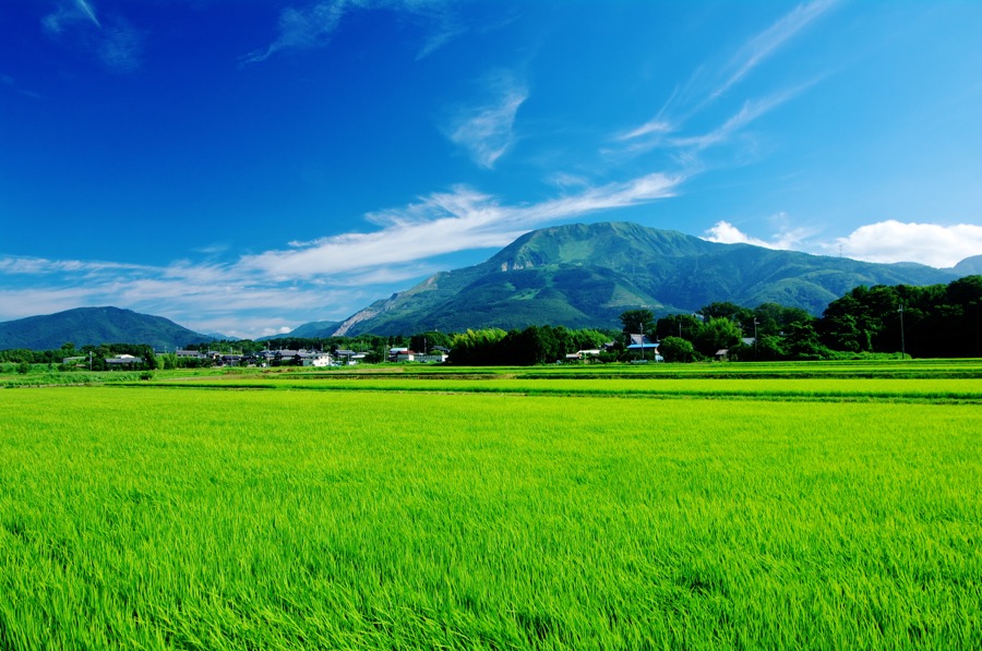 Mt. Ibukiyama
